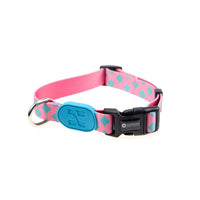 HKM-4442173 Adjustable Dog Collar Available in Small, Medium, and Large Sizes