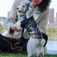 HKM-4444349 Stylish PU Leather Dog Jacket with Rivets for Small to Medium Breeds