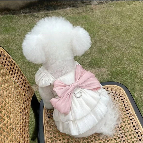 HKM-4444733 Breathe Easy with the Streamer Gauze Skirt for Teddy and Bichon Dogs & Cats