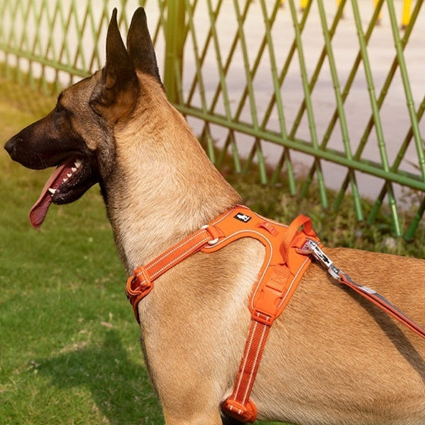 HKM-4445245 Reflective Polyester Dog Harness with Hand-Holding Rope - Multiple Sizes Available