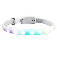 HKM-4447933 Luminous LED Light-Up Dog Collar for Enhanced Safety and Visibility