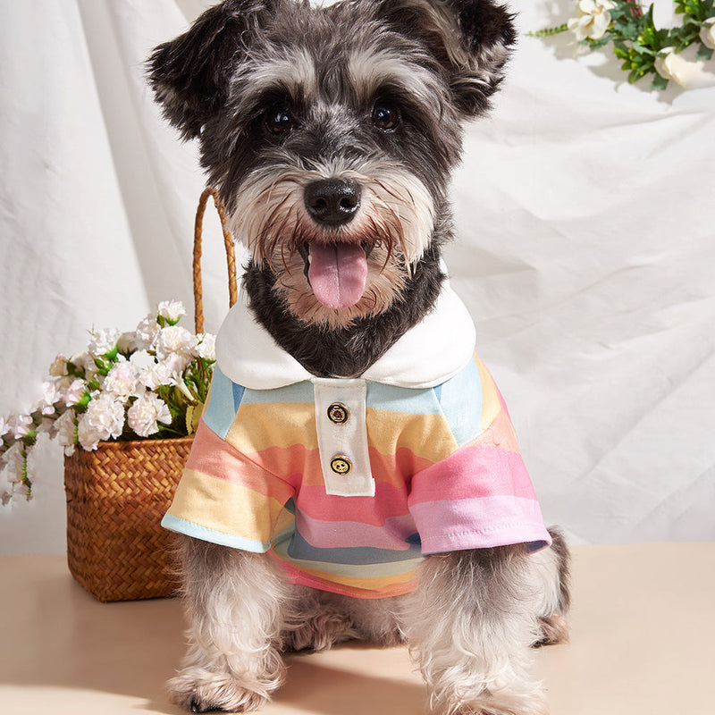 HKM-4448317 Colorful Striped Polo Shirt for Pets - Available in XS to XL Sizes