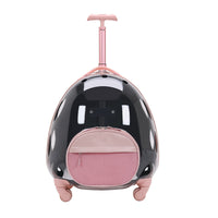 HKM-4463677 Transparent Travel Pet Suitcase for Dogs and Cats, Medium Soft PVC, Capacity 12.50kg