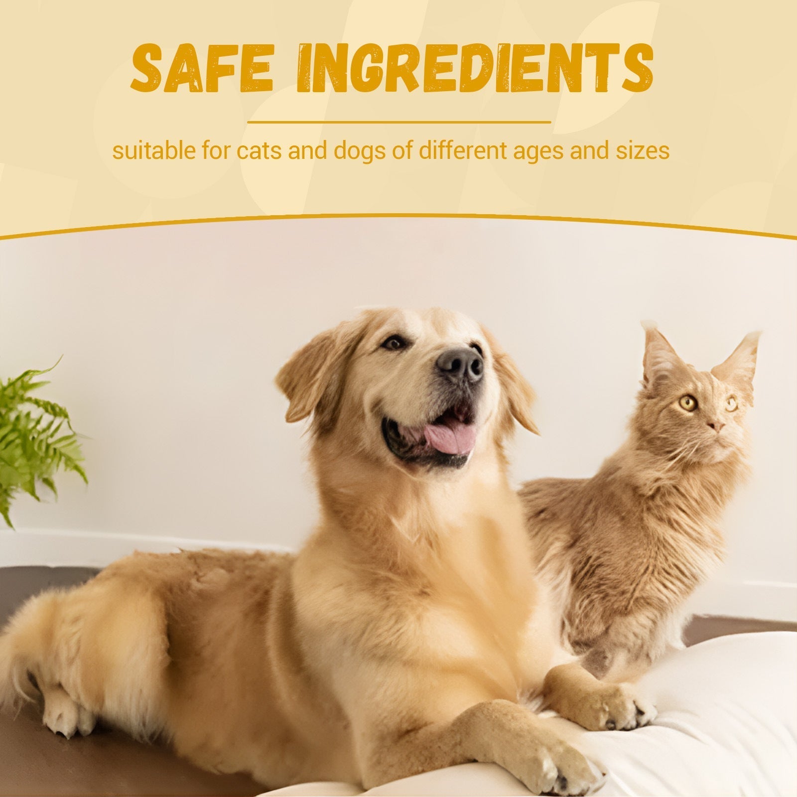 HKM-4465085 Pet Nutrition Supplement for Enhanced Energy and Vitality - 60ml
