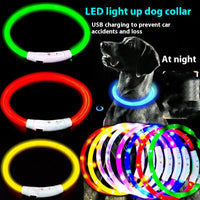 HKM-4465213 USB Rechargeable LED Glowing Pet Collar - Multiple Color Options Available