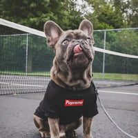 HKM-4465597 Lightweight Cotton Pet T-Shirt for All Seasons - Available in Black & White, Sizes S to XXL