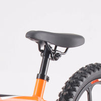 HKM-446611 Electric Balance Bike for Kids, 250W 350W, 16-Inch, CE Certified, Disc Brakes, Max Speed 22km/h, Aluminum Alloy Frame