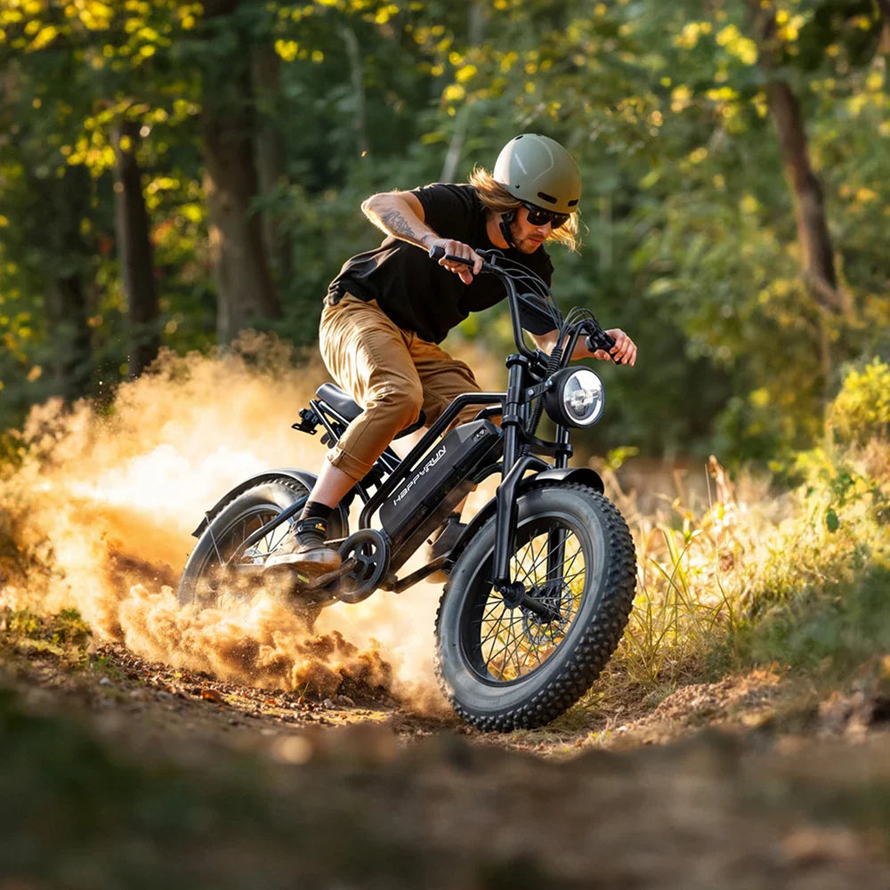 HKM-447123 48V 18AH Electric Cargo Bike - HappyRun Tank G50 City E-bike with Max Speed of 60 km/h