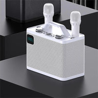 HKM-447187 Portable 80W Wireless Karaoke Speaker for Home Entertainment