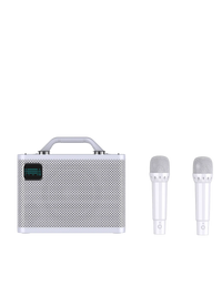 HKM-447187 Portable 80W Wireless Karaoke Speaker for Home Entertainment