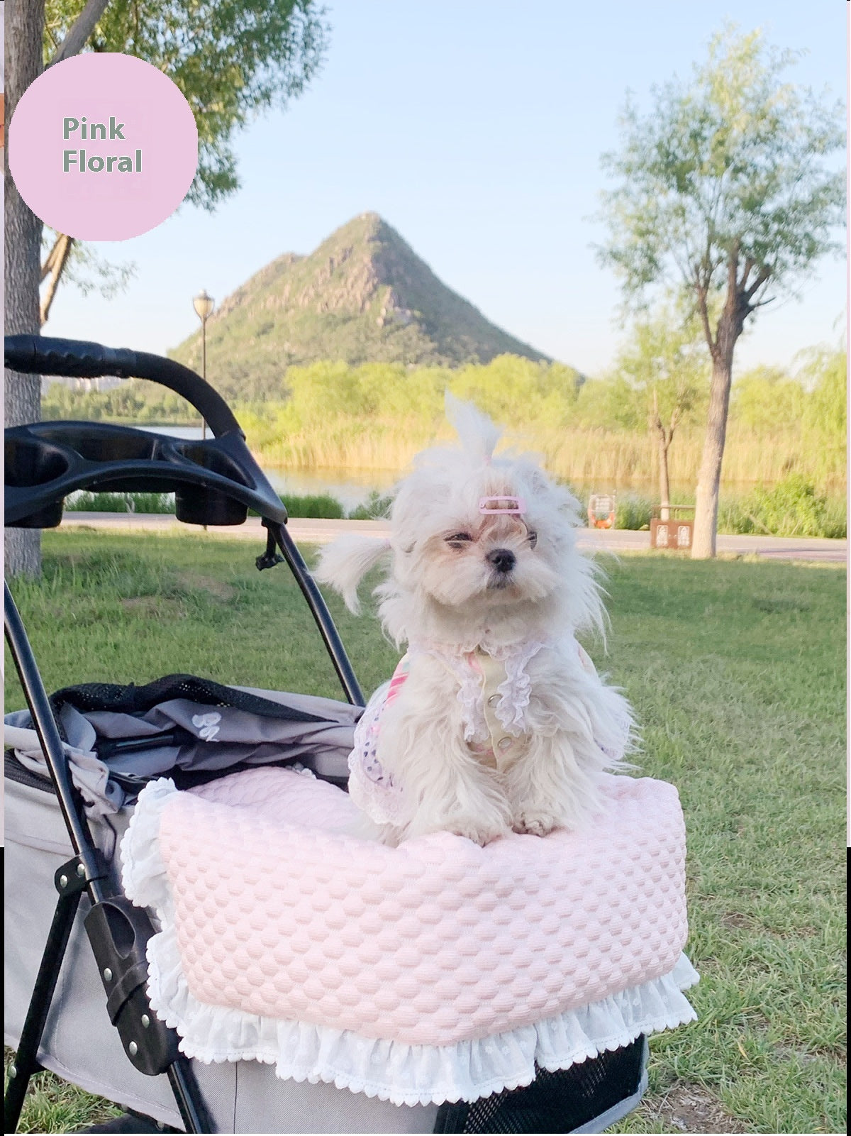 HKM-4475197 Washable Pet Stroller Cushion Set with Removable Pad and Pillow for Cats and Dogs in Various Designs