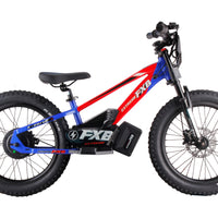 HKM-447763 Kids 20" Electric Balance Bike with 800W Motor, 36V 10AH, Adjustable Suspension, Hydraulic Brakes, Full Shock Absorption
