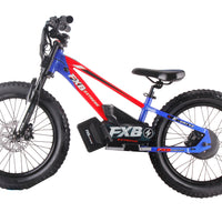 HKM-447763 Kids 20" Electric Balance Bike with 800W Motor, 36V 10AH, Adjustable Suspension, Hydraulic Brakes, Full Shock Absorption