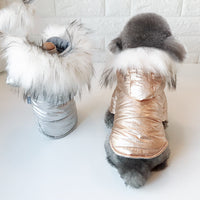 HKM-4482877 Padded Winter Clothes for Dogs - Casual Cotton Apparel in Multiple Sizes