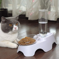 HKM-4485949 Automatic 15° Tilted Pet Food and Water Bowl Set with Water Bottle for Small to Medium Dogs and Cats