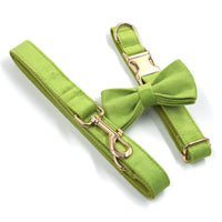 HKM-4486461 Matcha Green Velvet Dog Collar with Gold Buckle and Bow, Adjustable Sizes XS-XL