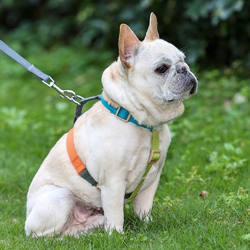 HKM-4488253 H-Shaped Six-Color PET Chest and Back Strap for Dogs