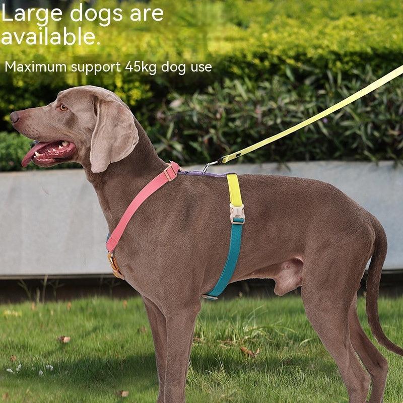 HKM-4488253 H-Shaped Six-Color PET Chest and Back Strap for Dogs