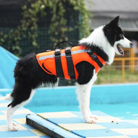 HKM-4488637 Reflective Dog Life Jacket with Double Layer Buoyancy and Easy-Fit Velcro Closure