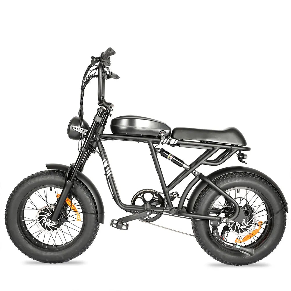 HKM-449043 Folding Electric Mountain Bike 20 Inch 750W Fat Tire with 48V 20Ah Battery and 7-Speed Gears