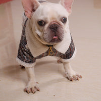 HKM-4490813 Plush Velvet Zipper Coat for Pets - Casual Jacket in Multiple Sizes