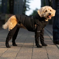 HKM-4496829 Waterproof Non-Slip Pet Shoes for Dogs - Safe and Comfortable Paw Protectors