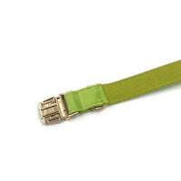 HKM-4497981 Cross-border Matcha Green Velvet Dog Collar with Gold Buckle, Scalable Sizes XS-XL