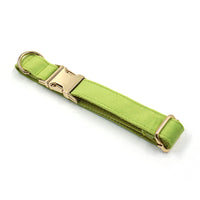 HKM-4497981 Cross-border Matcha Green Velvet Dog Collar with Gold Buckle, Scalable Sizes XS-XL