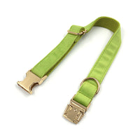 HKM-4497981 Cross-border Matcha Green Velvet Dog Collar with Gold Buckle, Scalable Sizes XS-XL