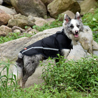 HKM-4498365 Water-Repellent Dog Raincoat in Purple, Black, and Yellow ¨C Sizes S to 3XL