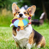 HKM-4498621 Durable Bite-Resistant Dog Toy with Sounds - Variety of Fun Designs