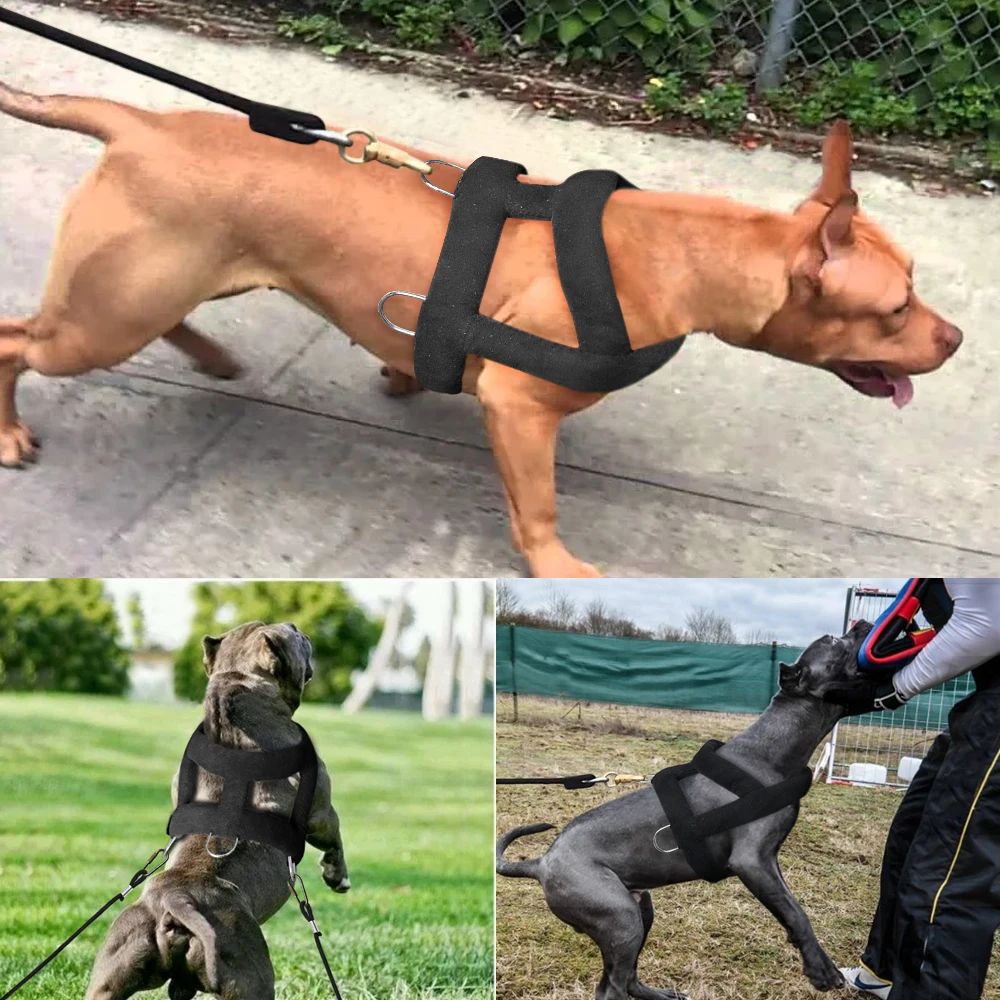 HKM-4499261 Soft Padded Weight Pulling Harness for Dogs, Adjustable Chest Strap (58-80cm)
