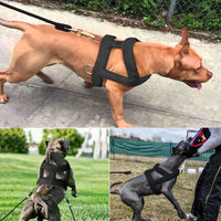 HKM-4499261 Soft Padded Weight Pulling Harness for Dogs, Adjustable Chest Strap (58-80cm)