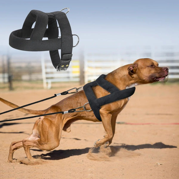 HKM-4499261 Soft Padded Weight Pulling Harness for Dogs, Adjustable Chest Strap (58-80cm)