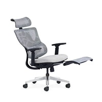 HKM-449939 Ergonomic High Back Mesh Office Chair with Adjustable Footrest and 3D Armrests