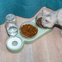 HKM-4500157 Automatic Pet Feeder with Water Fountain for Cats and Dogs - Double Food and Water Bowl with Raised Stand