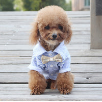 HKM-4500541 Breathable Thin Style Shirt for Small and Medium Dogs - Perfect for Teddy, Bichon, Pomeranian