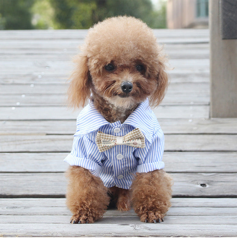 HKM-4500541 Breathable Thin Style Shirt for Small and Medium Dogs - Perfect for Teddy, Bichon, Pomeranian