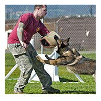 HKM-4500797 Durable Dog Training Bite Sleeve with Elbow Protection and Internal Handle