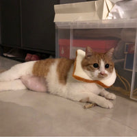 HKM-4502205 Cute Cartoon Bread Slice Headgear Accessory - Soft Cloth Material, Multiple Sizes Available