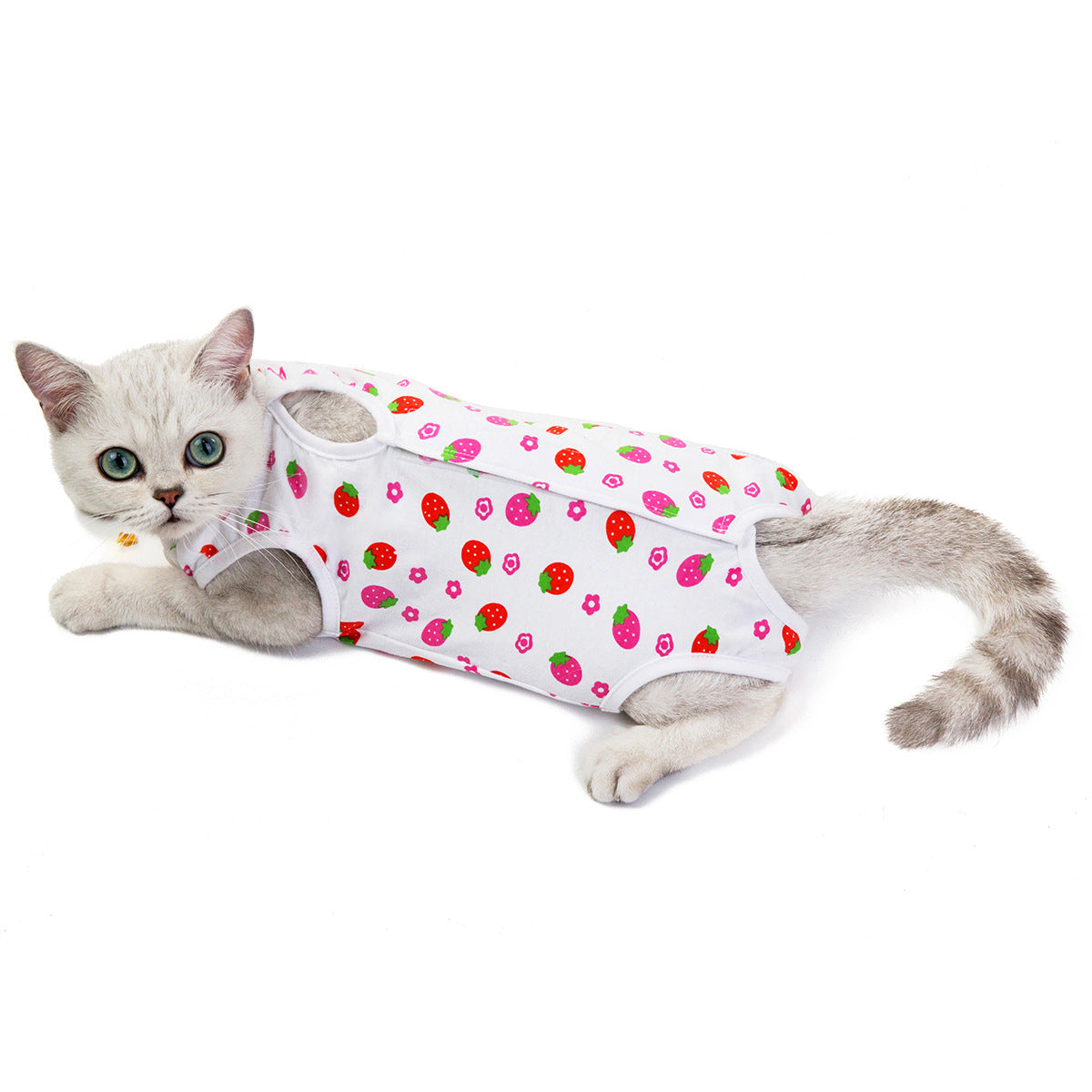 HKM-4504125 Breathable Cotton Physiological Pants for Pets in Fun Colors