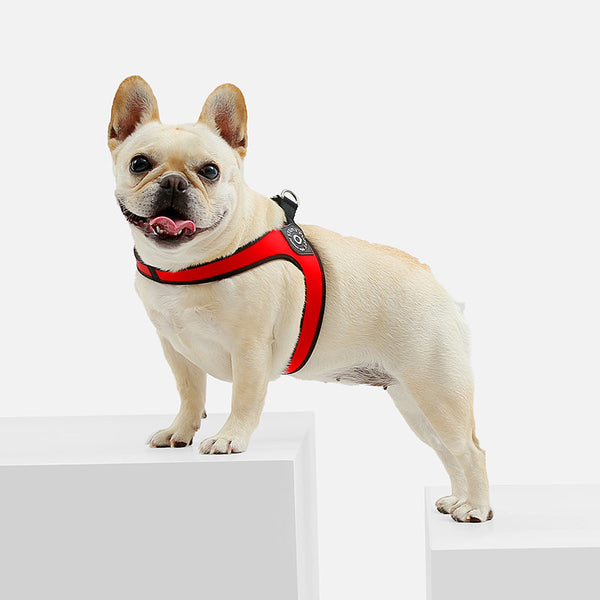 HKM-4510781 Pet Leather Chest Strap for Small Dogs in Multiple Colors