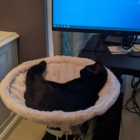 HKM-4515517 Adjustable Ergonomic Cat Hammock Bed - 42.5cm Diameter - White Plastic