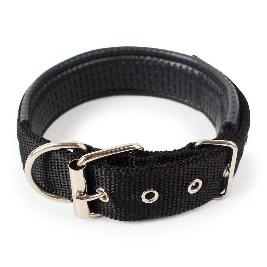 HKM-453331 Durable Nylon Dog Collar for Small to Medium-Sized Dogs in Multiple Sizes: Blue, Black, Red, Green