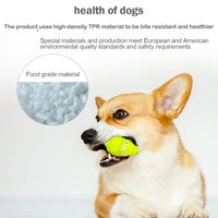 HKM-4533565 Interactive Chew Sound Toys for Puppies - Crocodile, Kitten, Bear, and Fox Models