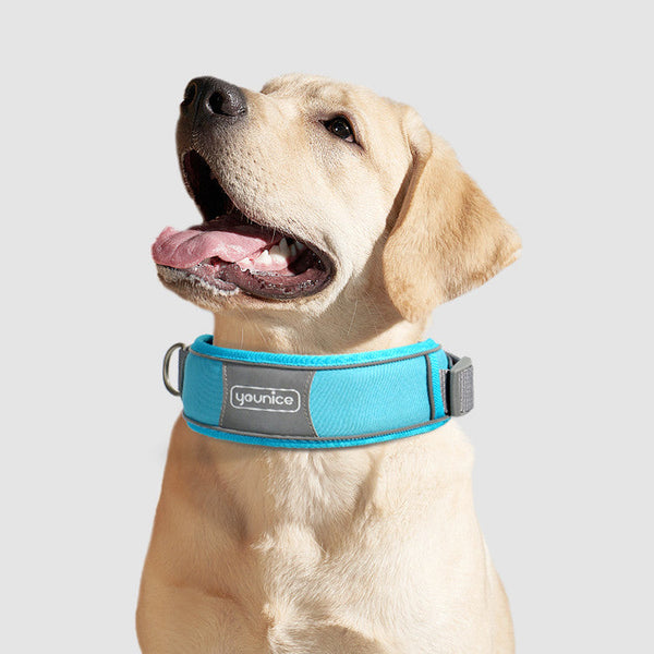HKM-4540477 Durable Nylon Dog Collar and Leash Set with Comfort Padding - Multiple Colors and Sizes Available