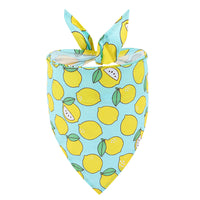 HKM-4544829 Cartoon Patterned Pet Towel - Summer Fruits Design, Multifunctional Cloth for All Seasons
