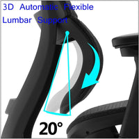 HKM-454547 Ergonomic High Back Mesh Office Chair with Adjustable Headrest and Lumbar Support