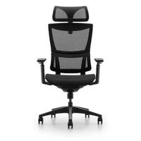 HKM-454547 Ergonomic High Back Mesh Office Chair with Adjustable Headrest and Lumbar Support