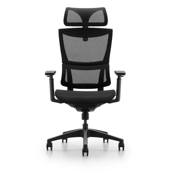 HKM-454547 Ergonomic High Back Mesh Office Chair with Adjustable Headrest and Lumbar Support